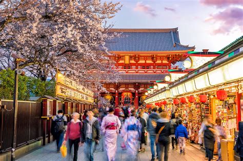 101 best things to do in Tokyo .